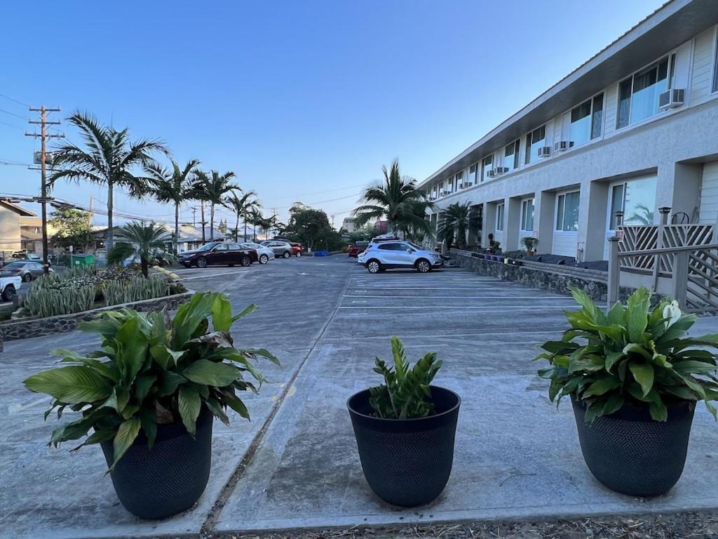 Unit 19 Maui Ohana Modern Studio Wailuku المظهر الخارجي الصورة